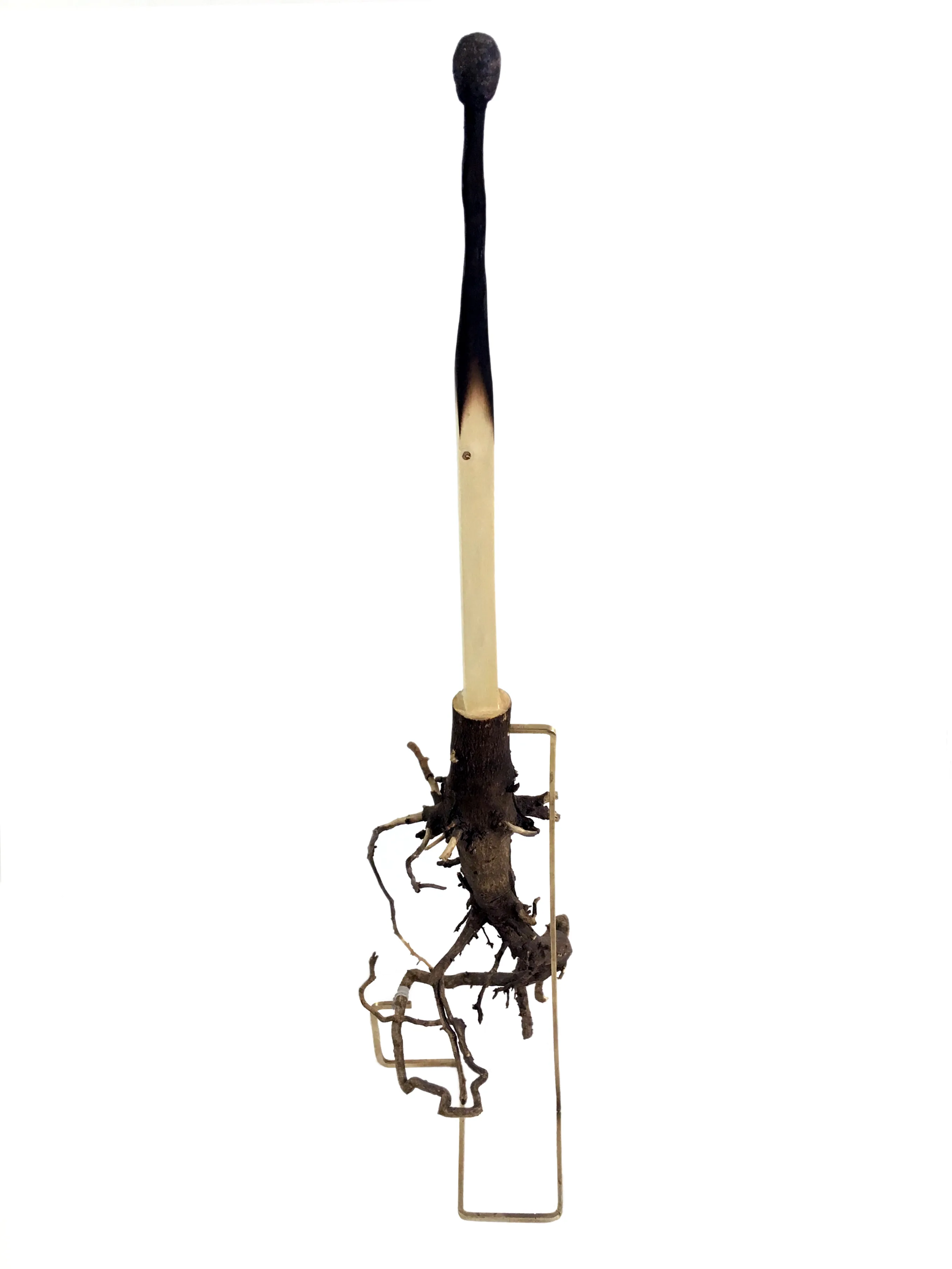 FRG-000281