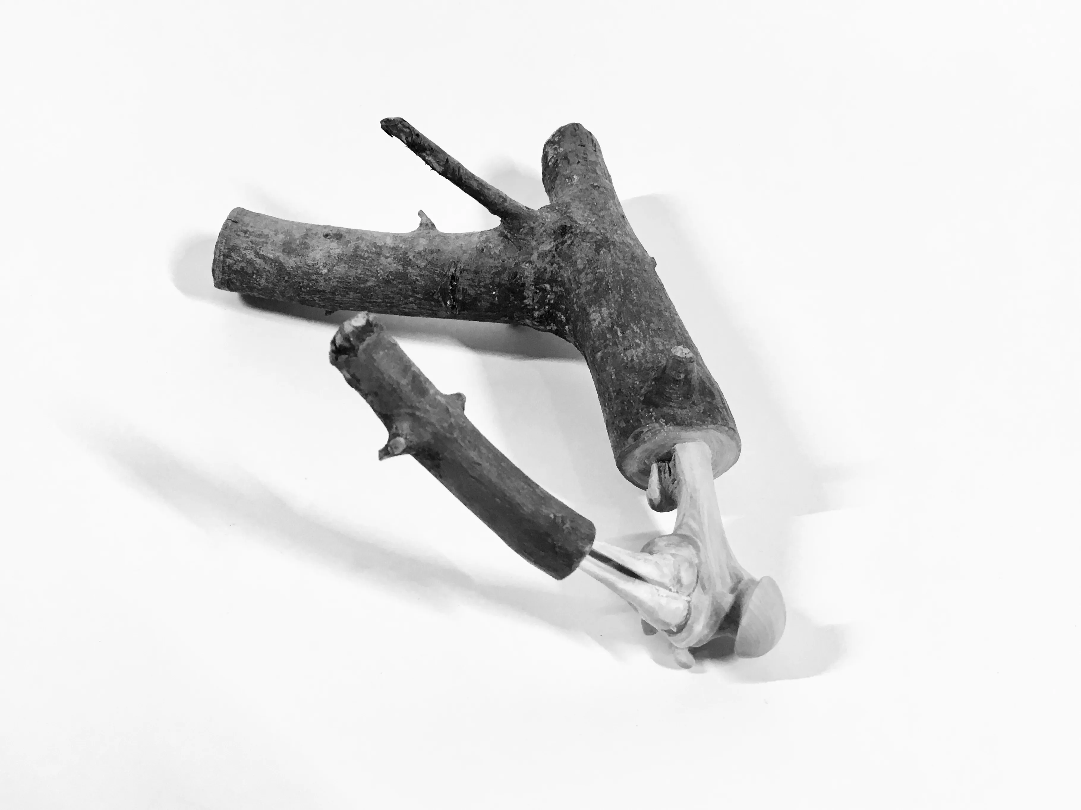 articulation00001