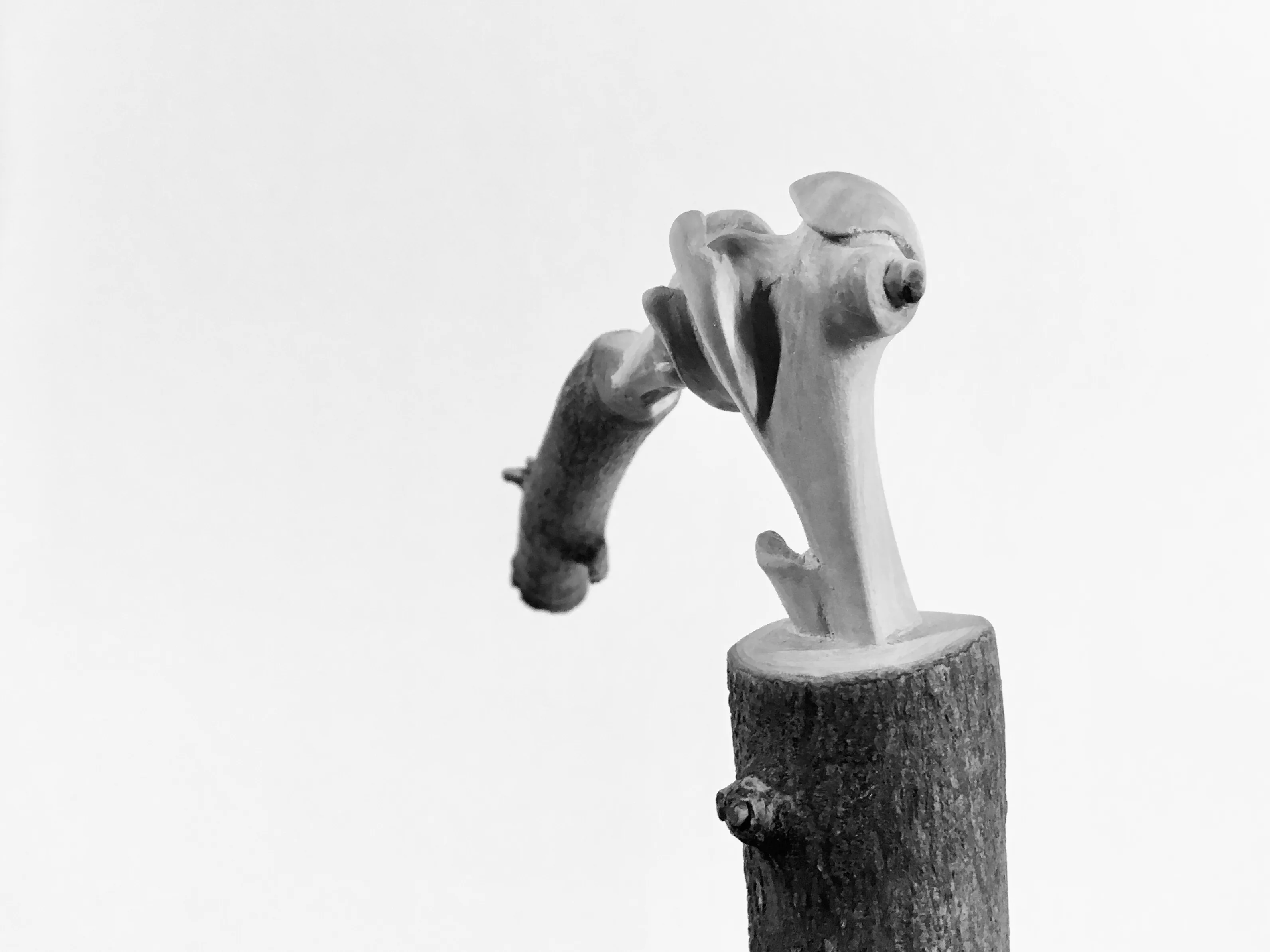 articulation00003