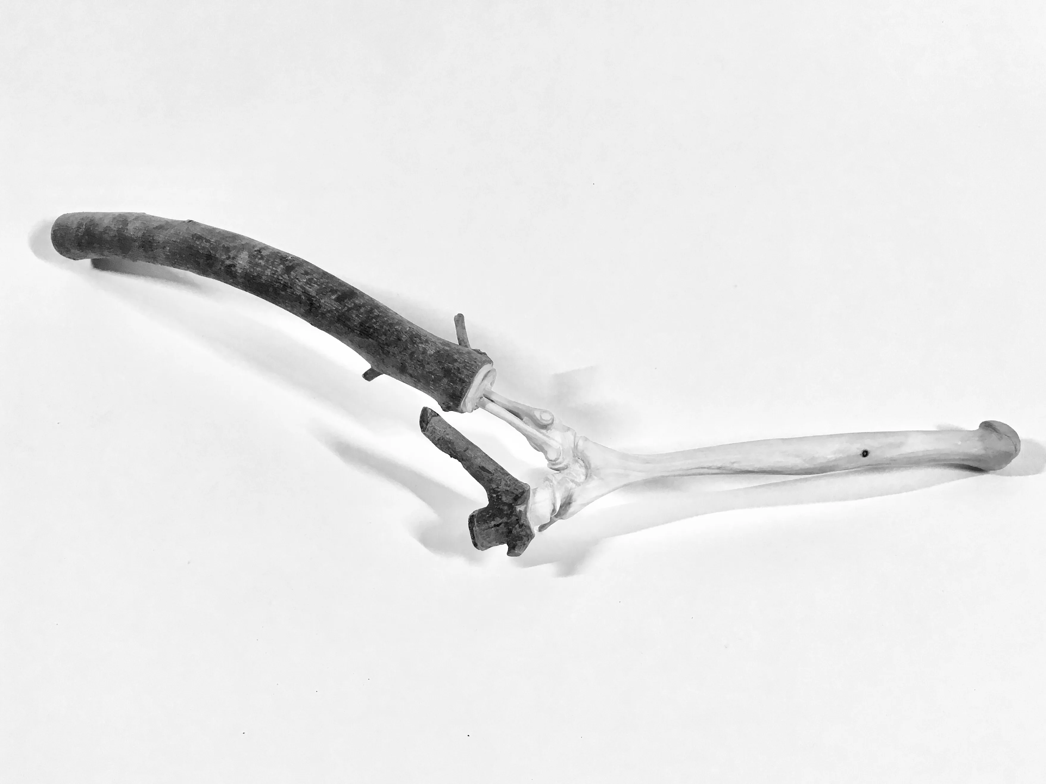 articulation-a-00000
