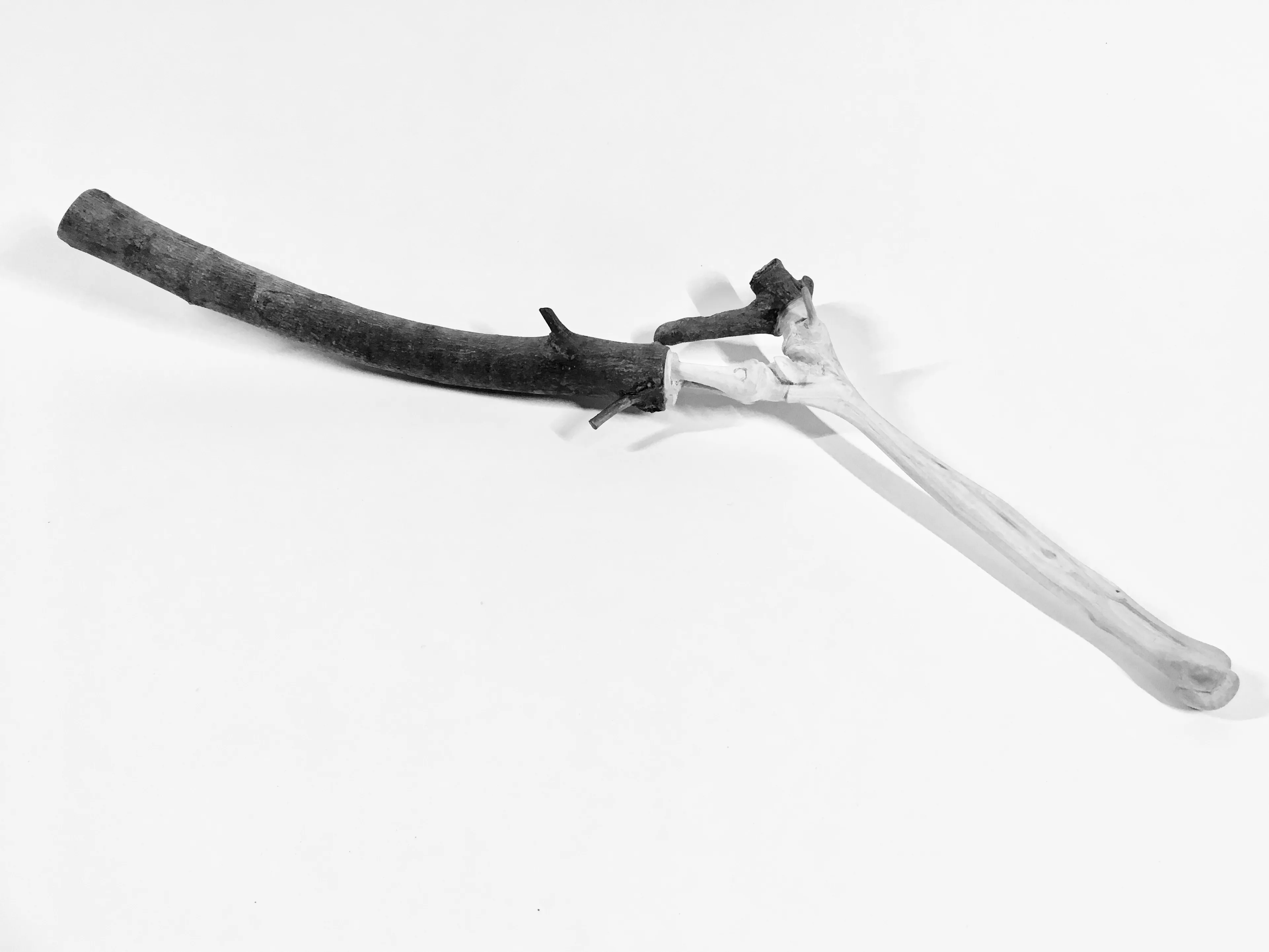 articulation-a-00001