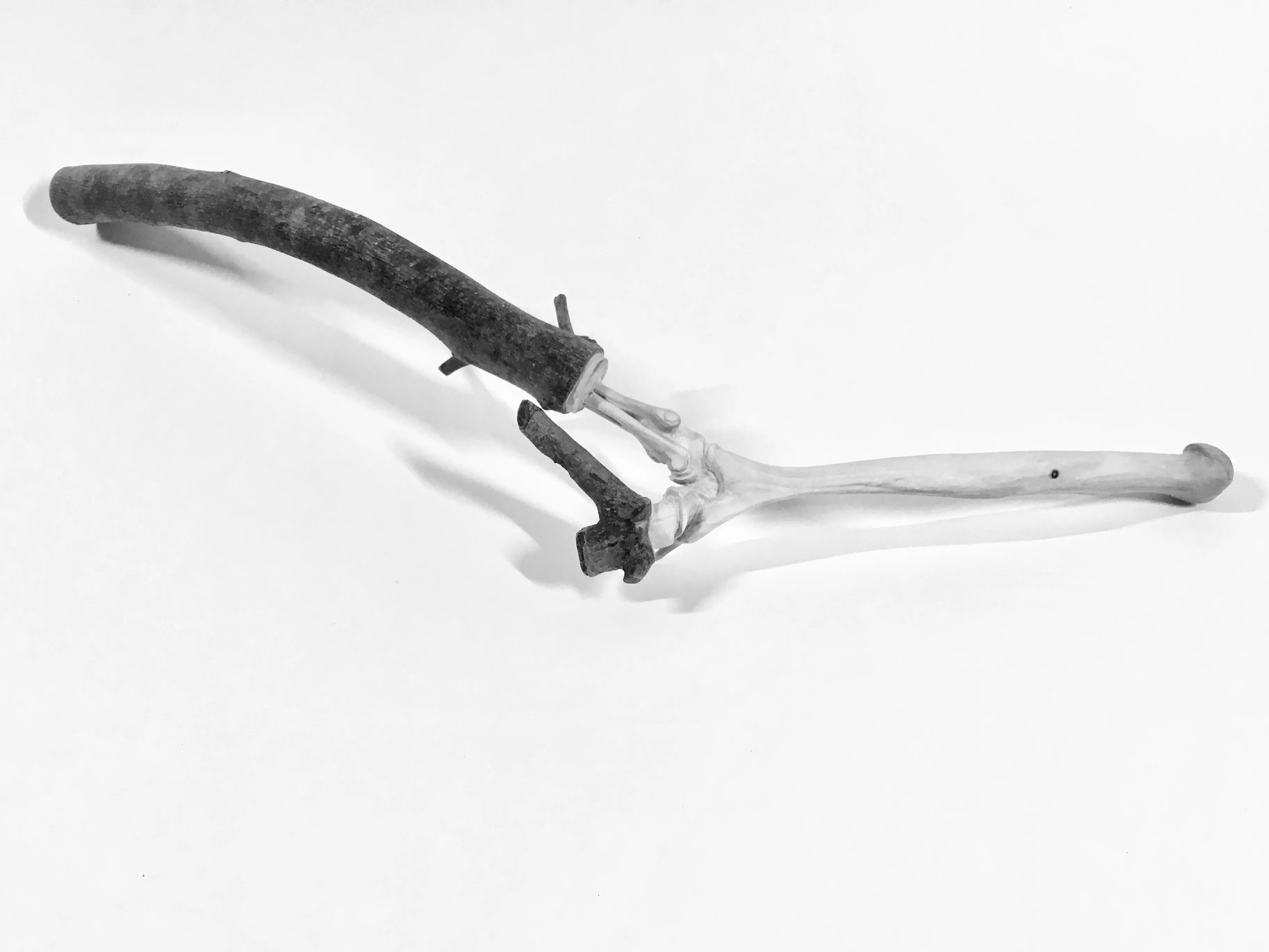 articulation-a-00002