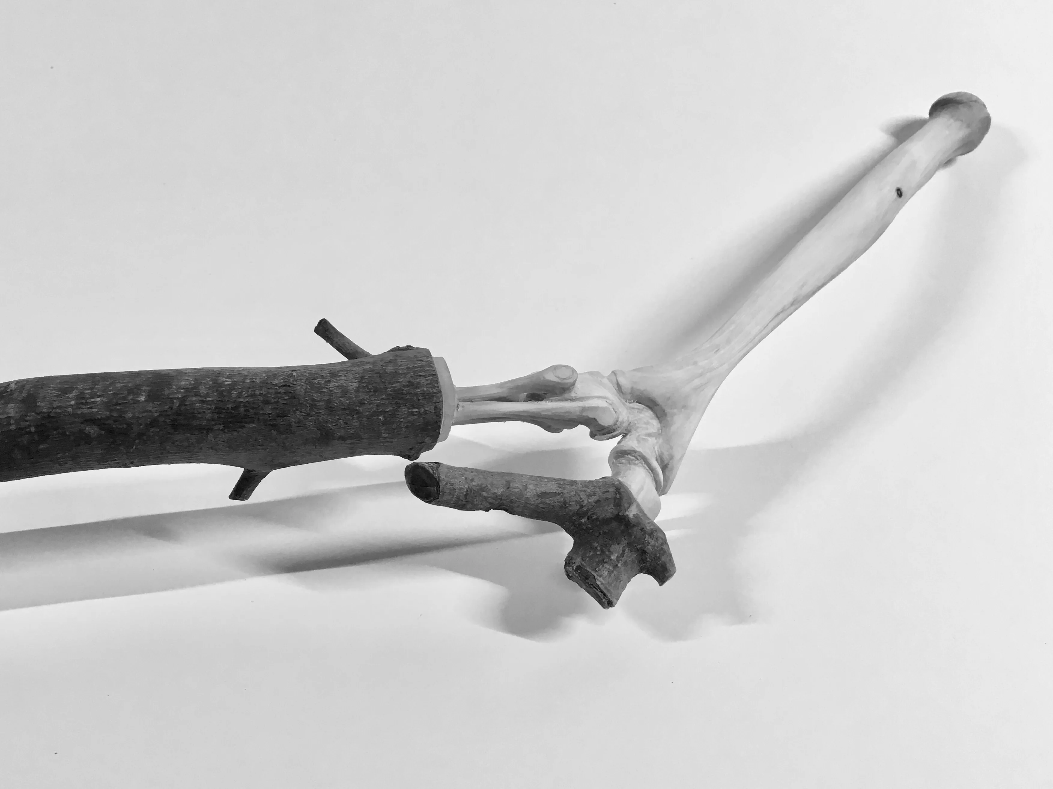 articulation-a-00003