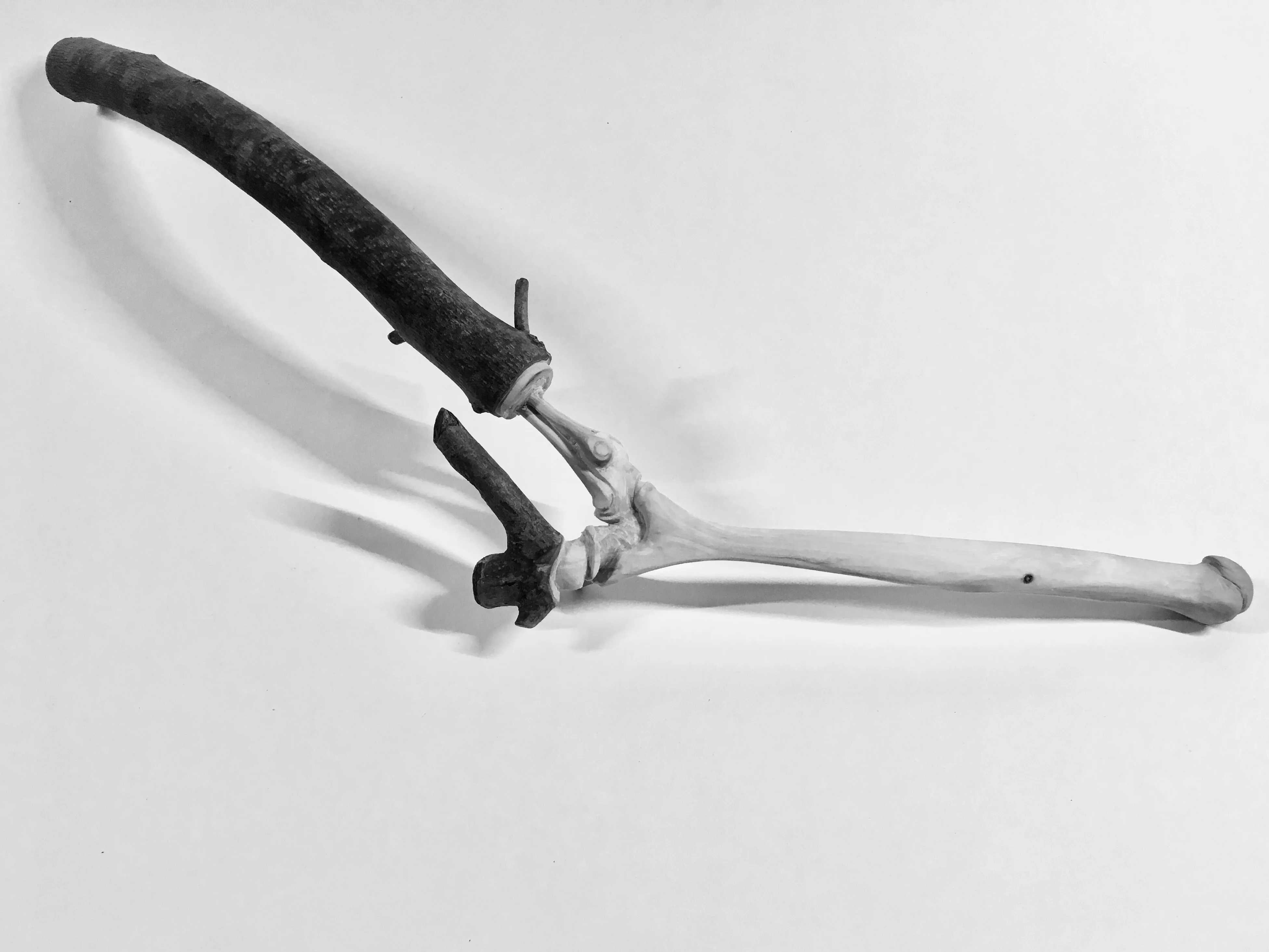 Anatomy 2 — Articulation