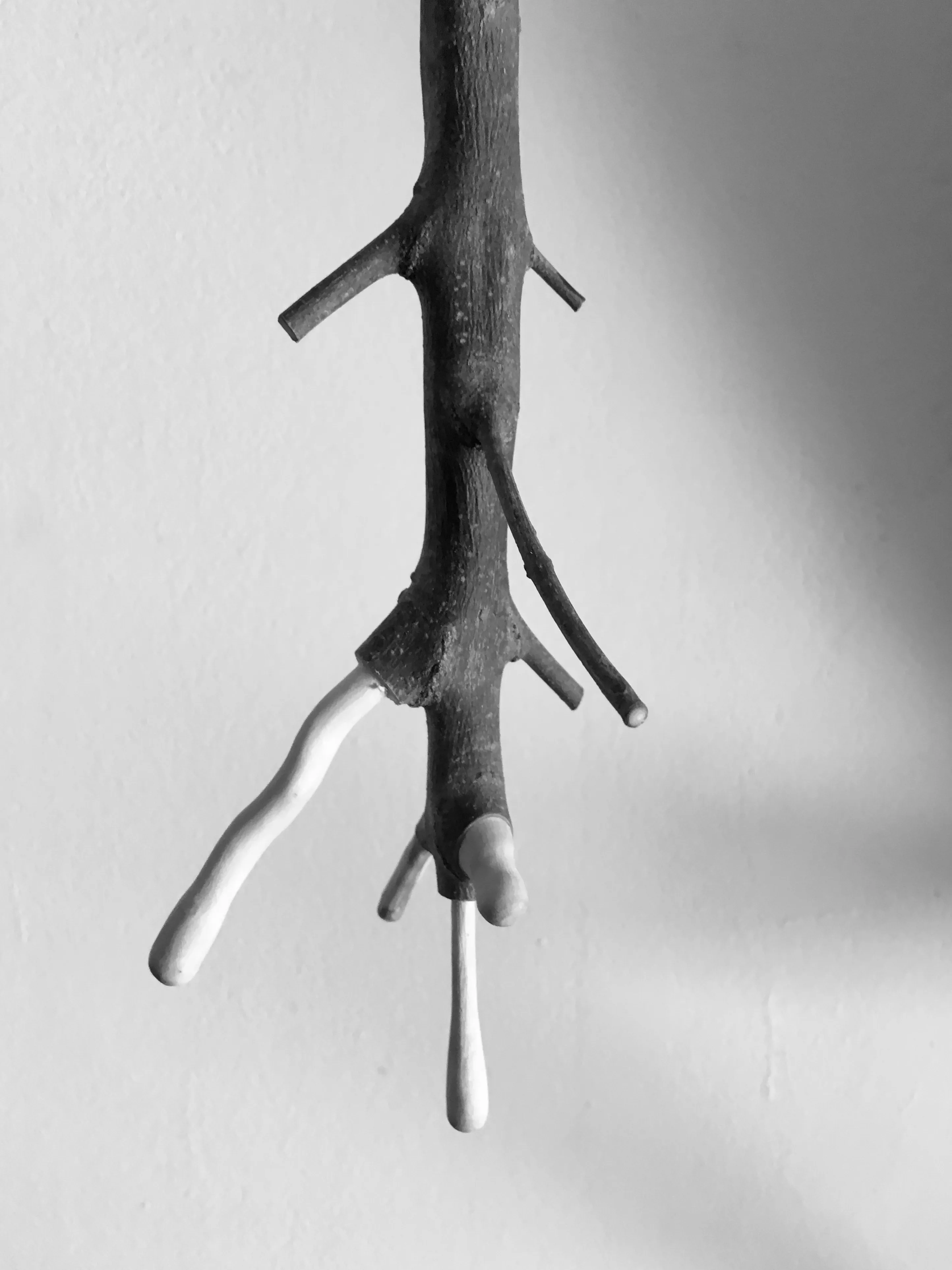 Sécrétions - Drip