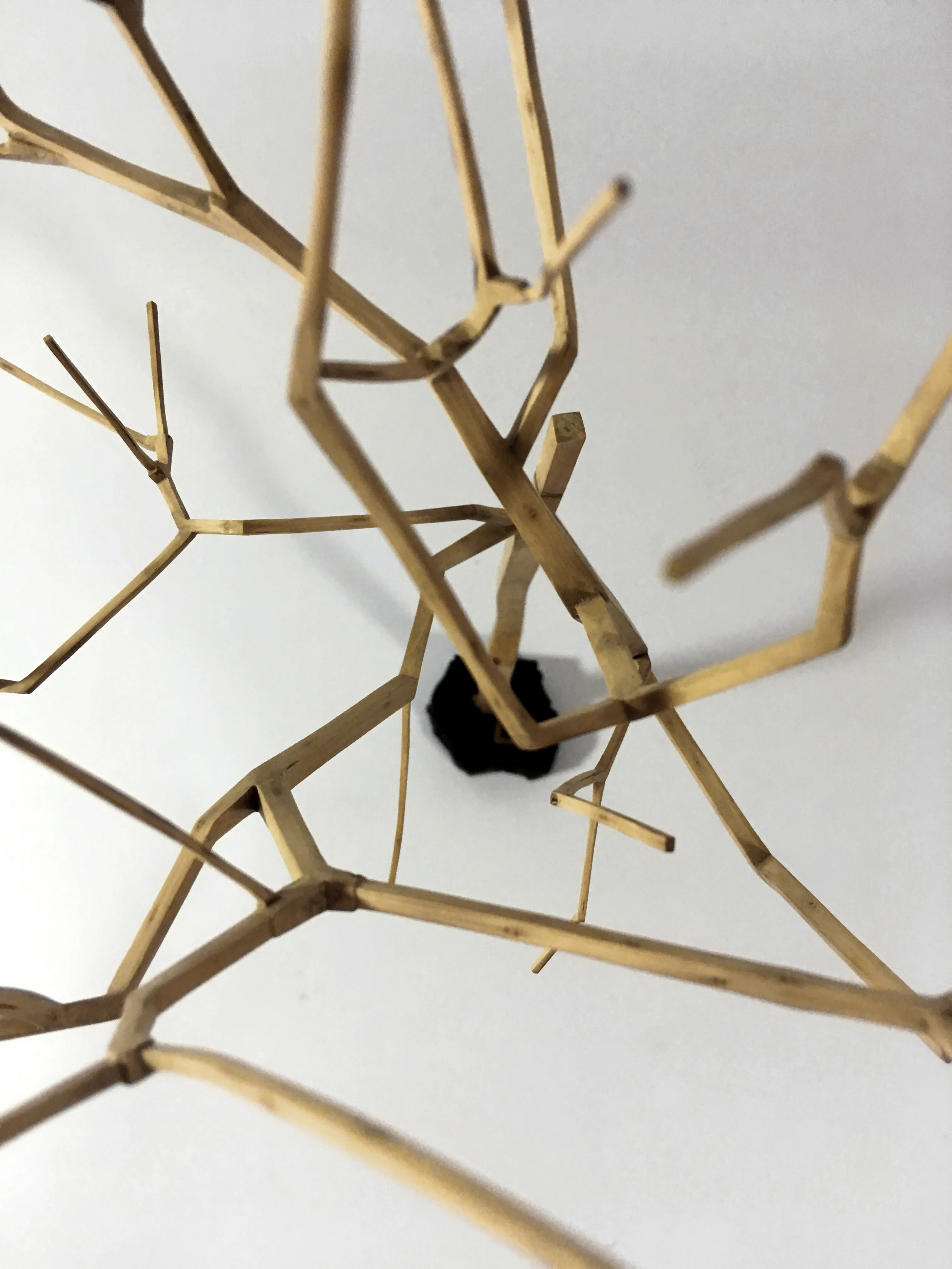 Rationalized tree