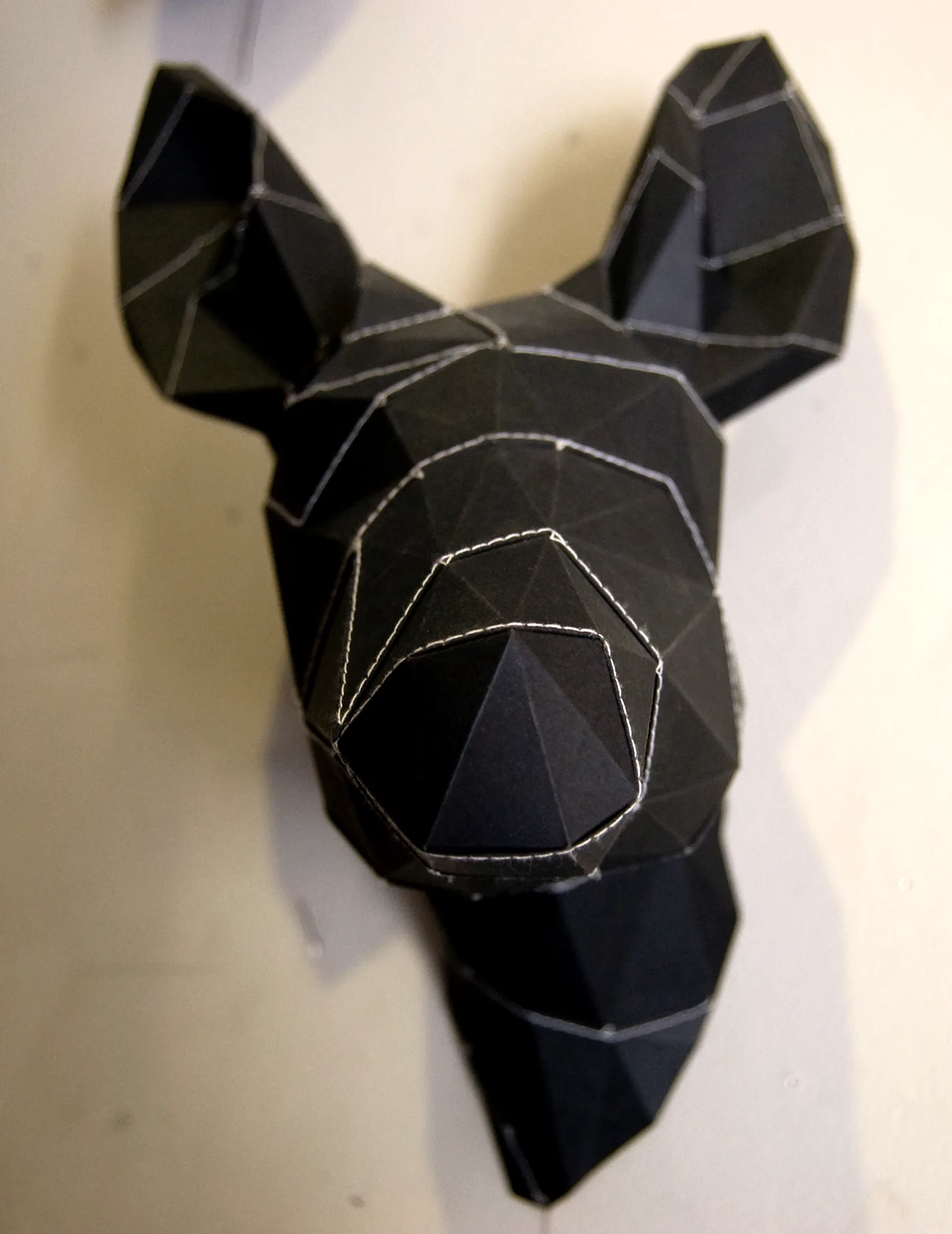 FRG-001194