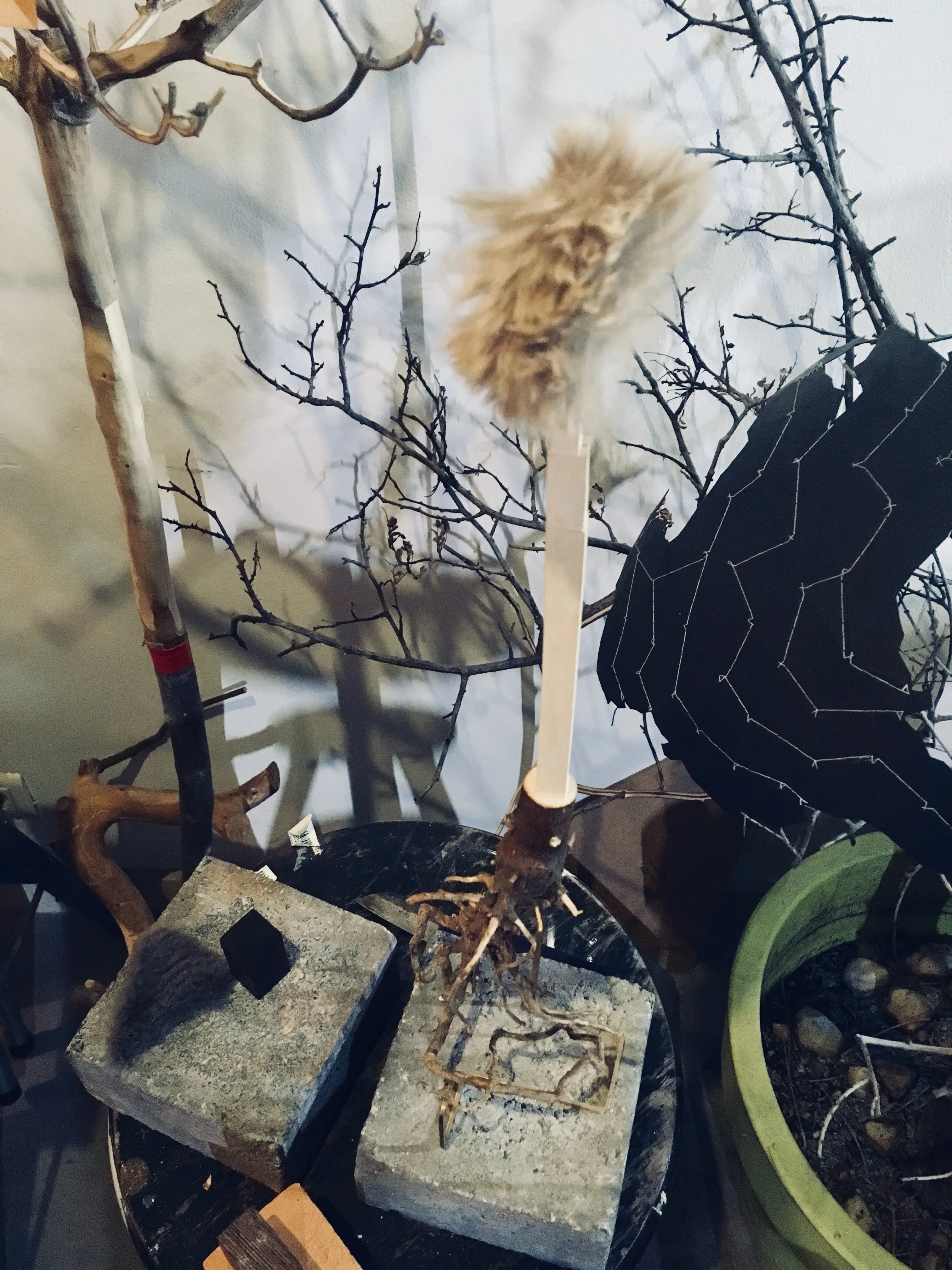 studio-view-00002