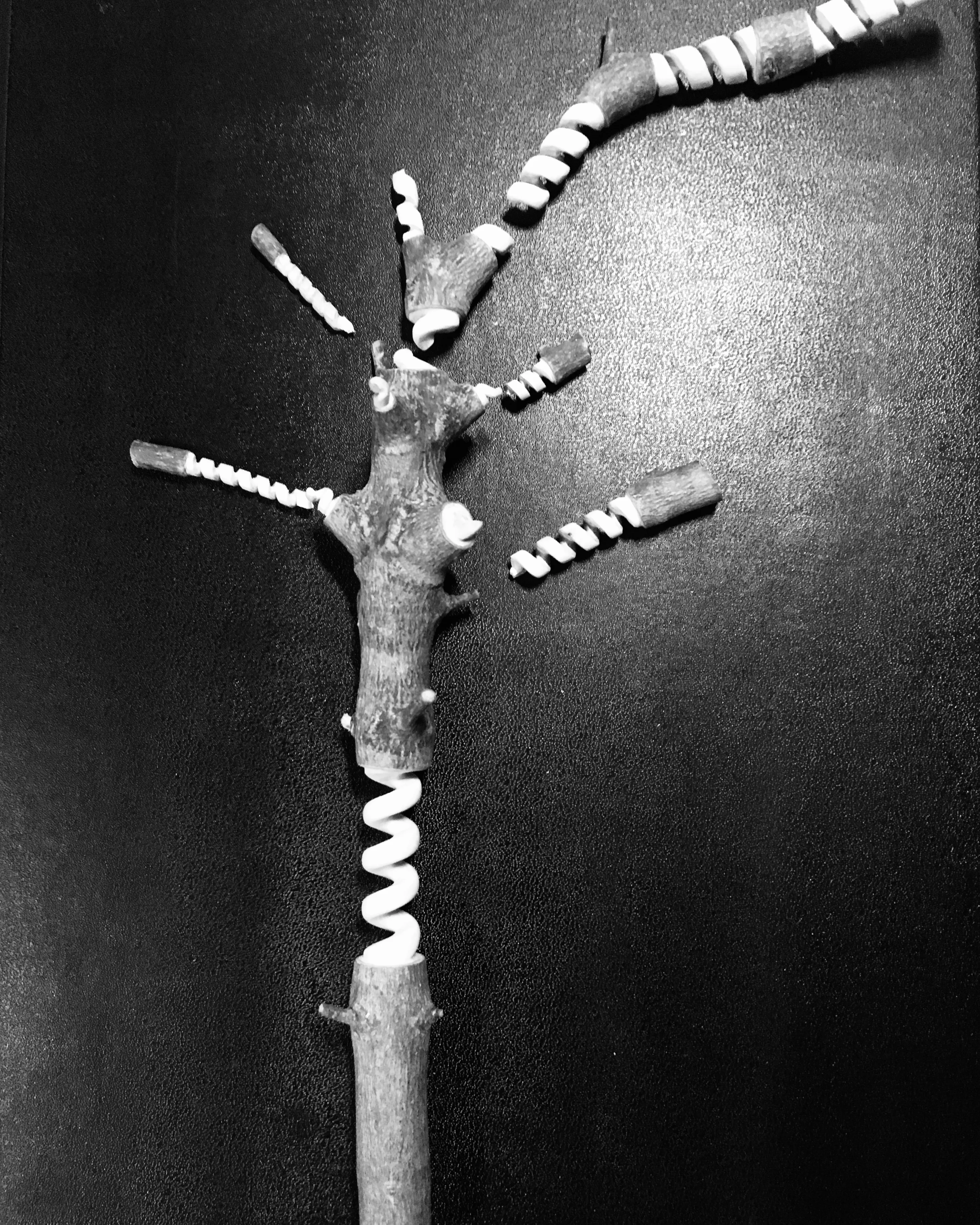 FRG-000923